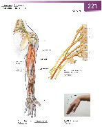 Sobotta Atlas of Human Anatomy  Head,Neck,Upper Limb Volume1 2006, page 228
